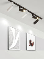 Cylinder Track Light 30° Focused Beam Integrated LED