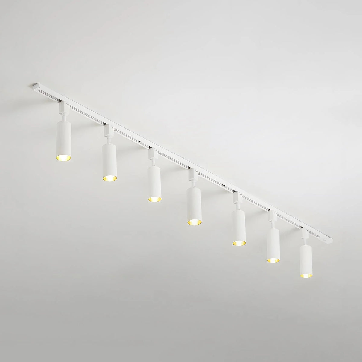 Cylinder Track Light 30° Focused Beam Integrated LED