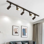 Cylinder Track Light 30° Focused Beam Integrated LED