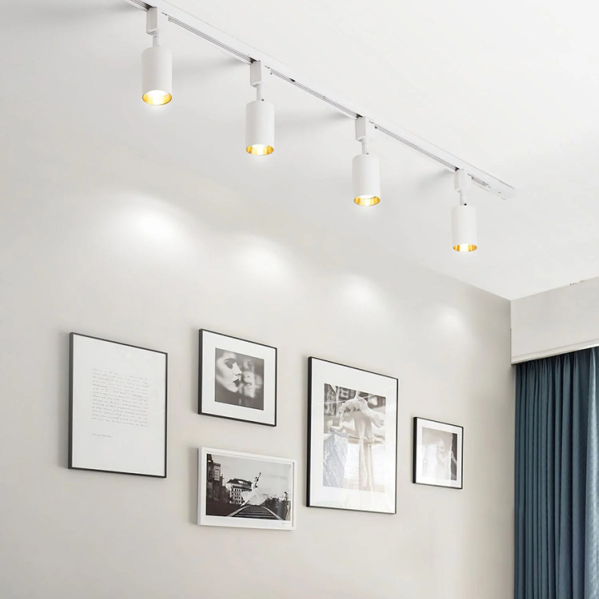 Cylinder Track Light 30° Focused Beam Integrated LED