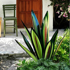 Decorative Agave Plant Rust Finish Corrosion-Resistant Coating