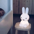 Decorative Figure Rabbit Minimalist Shelf Friendly