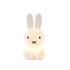 Decorative Figure Rabbit Minimalist Shelf Friendly
