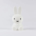 Decorative Figure Rabbit Minimalist Shelf Friendly