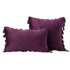 Decorative Pillow Set Velvet Tassel Trim With Inserts