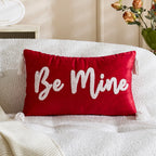 Decorative Throw Pillow Tufted Chenille Tassels Removable Cover