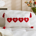 Decorative Throw Pillow Tufted Chenille Tassels Removable Cover