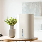 Dehumidifier Compact Portable Removable Tank & Full-Tank Alert