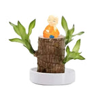Desktop Plant Low-Maintenance Low-Light Air-Purifying