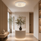 Dimmable Color-Adjustable LED Moon Ceiling Light (Remote)