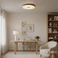 Dimmable Integrated LED Flush Mount Ceiling Light