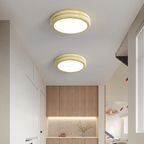 Dimmable Integrated LED Flush Mount Ceiling Light