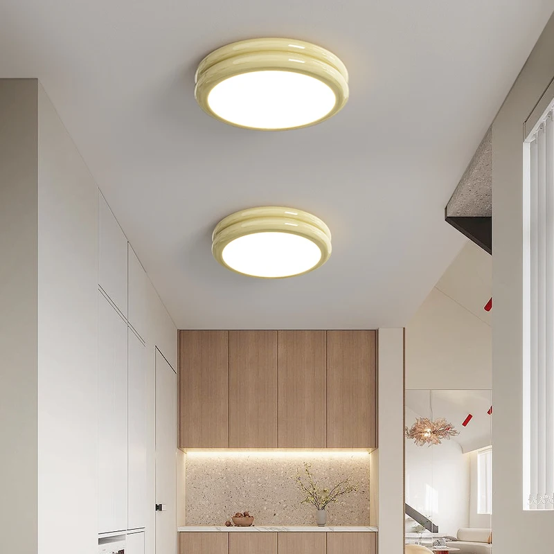 Dimmable Integrated LED Flush Mount Ceiling Light