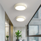 Dimmable Integrated LED Flush Mount Ceiling Light