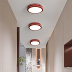 Dimmable Integrated LED Flush Mount Ceiling Light