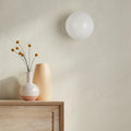 Dimmable LED Opal Glass Flush Mount Ceiling Light