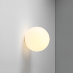 Dimmable LED Opal Glass Flush Mount Ceiling Light