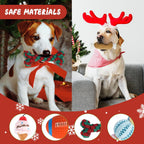Dog Advent Calendar 12-Day Interactive Rubber & Rope Toys