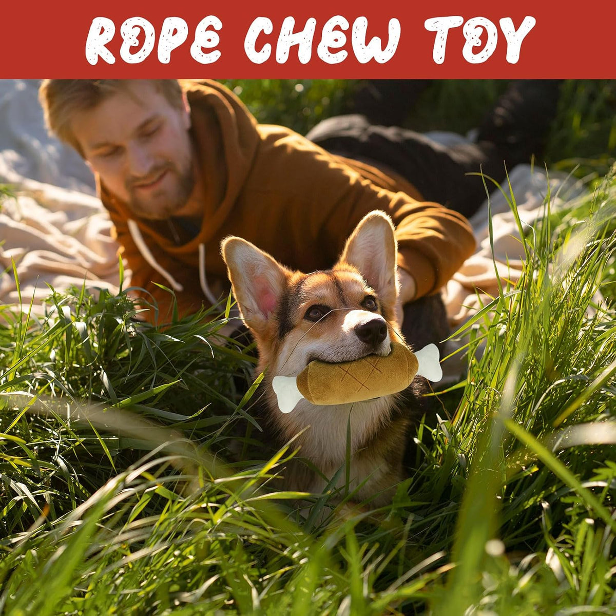 Dog Advent Calendar 12-Day Interactive Rubber & Rope Toys