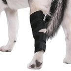 Dog Ankle Brace Neoprene Compression Reflective Strips