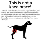 Dog Ankle Brace Neoprene Compression Reflective Strips