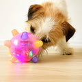 Dog Ball Self-Activating LED & Sound