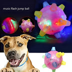 Dog Ball Self-Activating LED & Sound