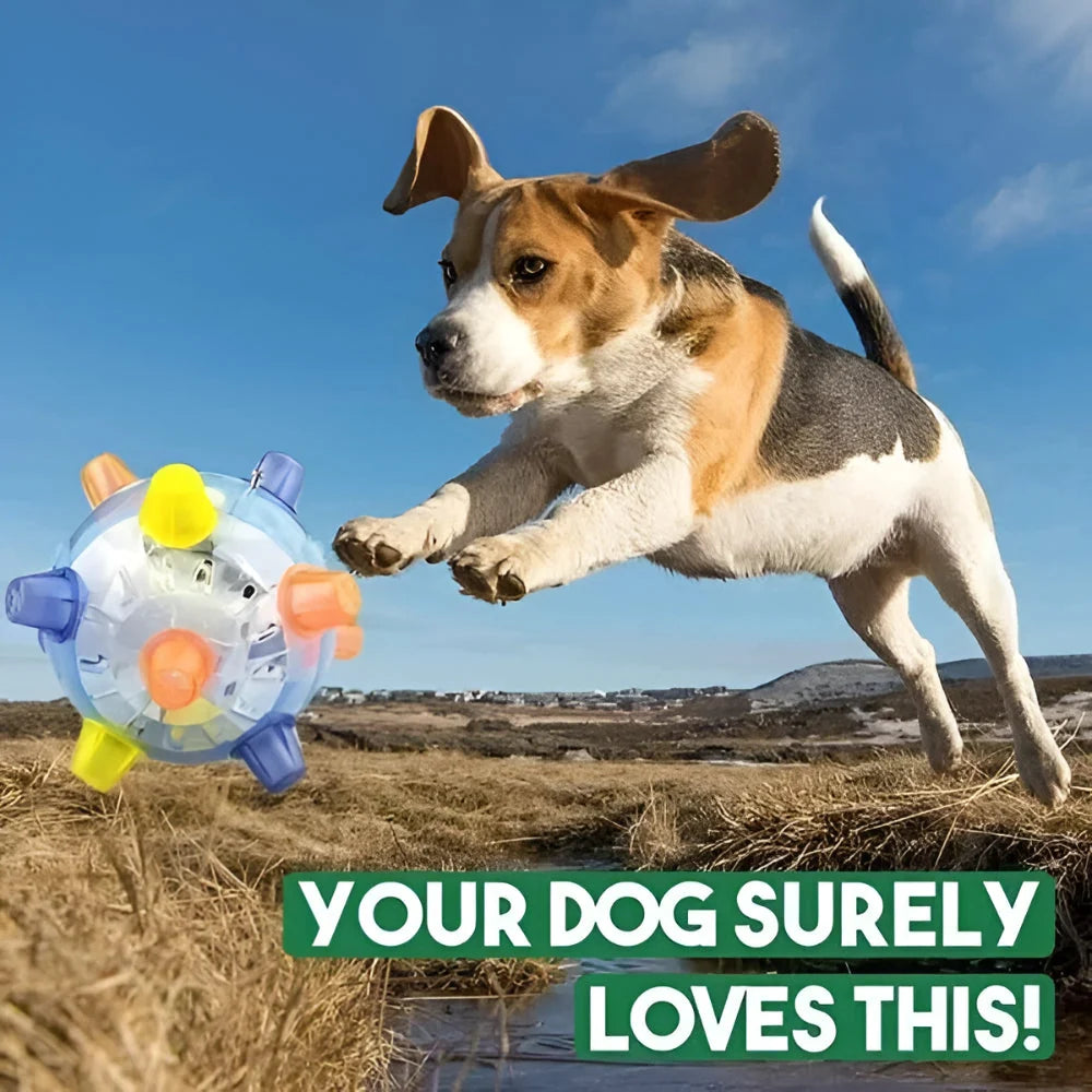 Dog Ball Self-Activating LED & Sound