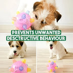 Dog Ball Self-Activating LED & Sound