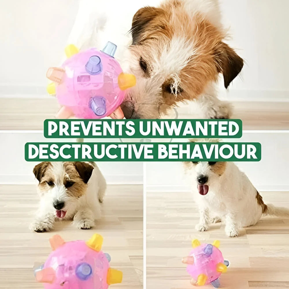 Dog Ball Self-Activating LED & Sound