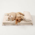 Dog Bed Calming High-Density Foam Machine-Washable Cover