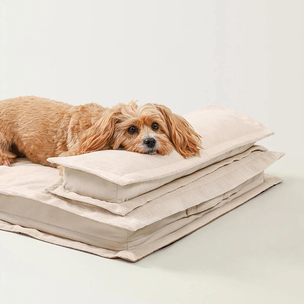 Dog Bed Calming High-Density Foam Machine-Washable Cover