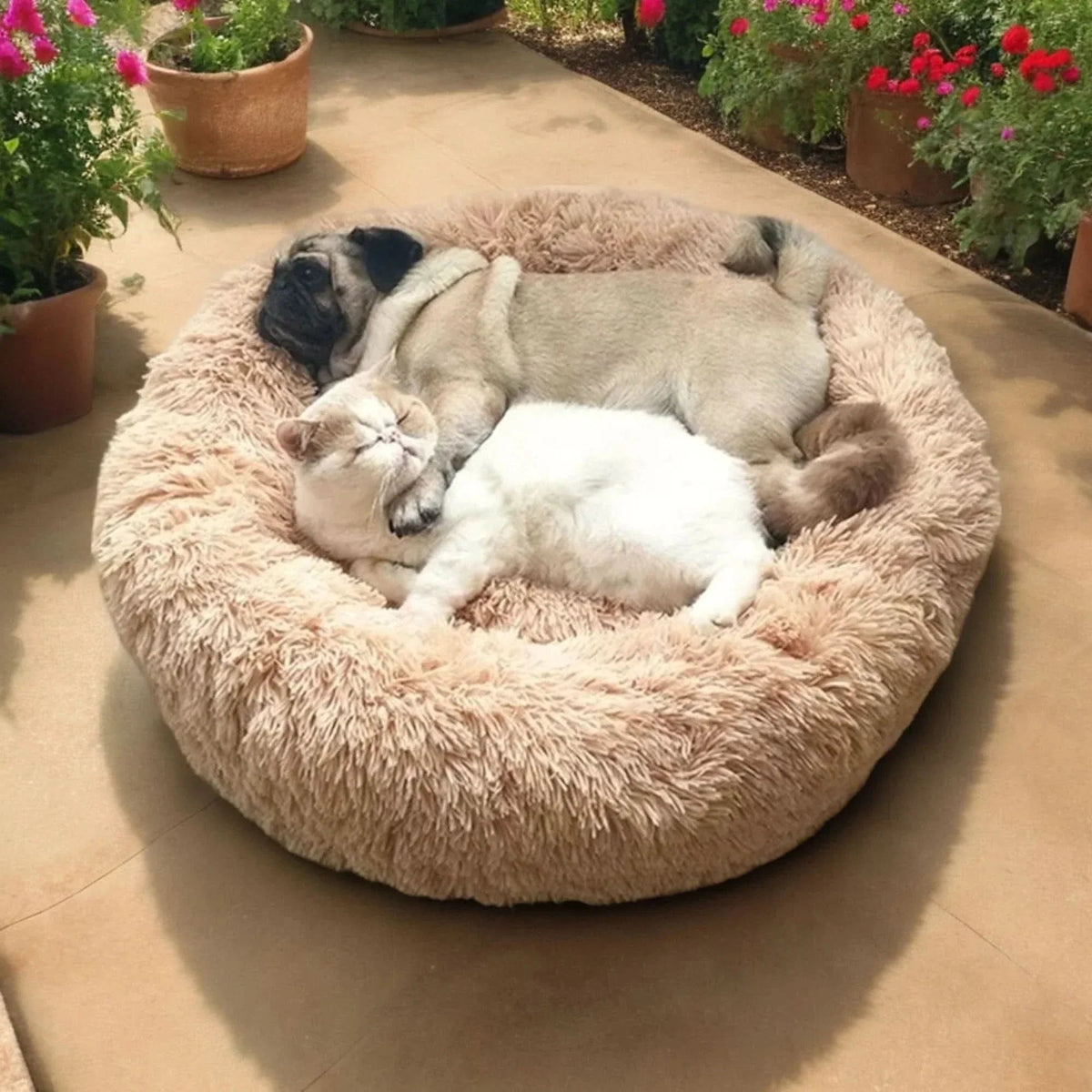 Dog Bed Calming Plush Donut Bolster Machine Washable