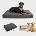 Dog Bed Chew-Resistant Canvas Plush Filling Non-Slip Bottom
