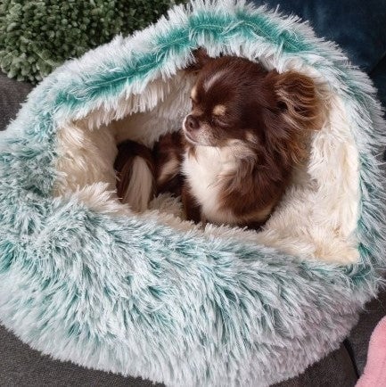 Dog Bed Convertible Bed & Blanket Anti-Slip