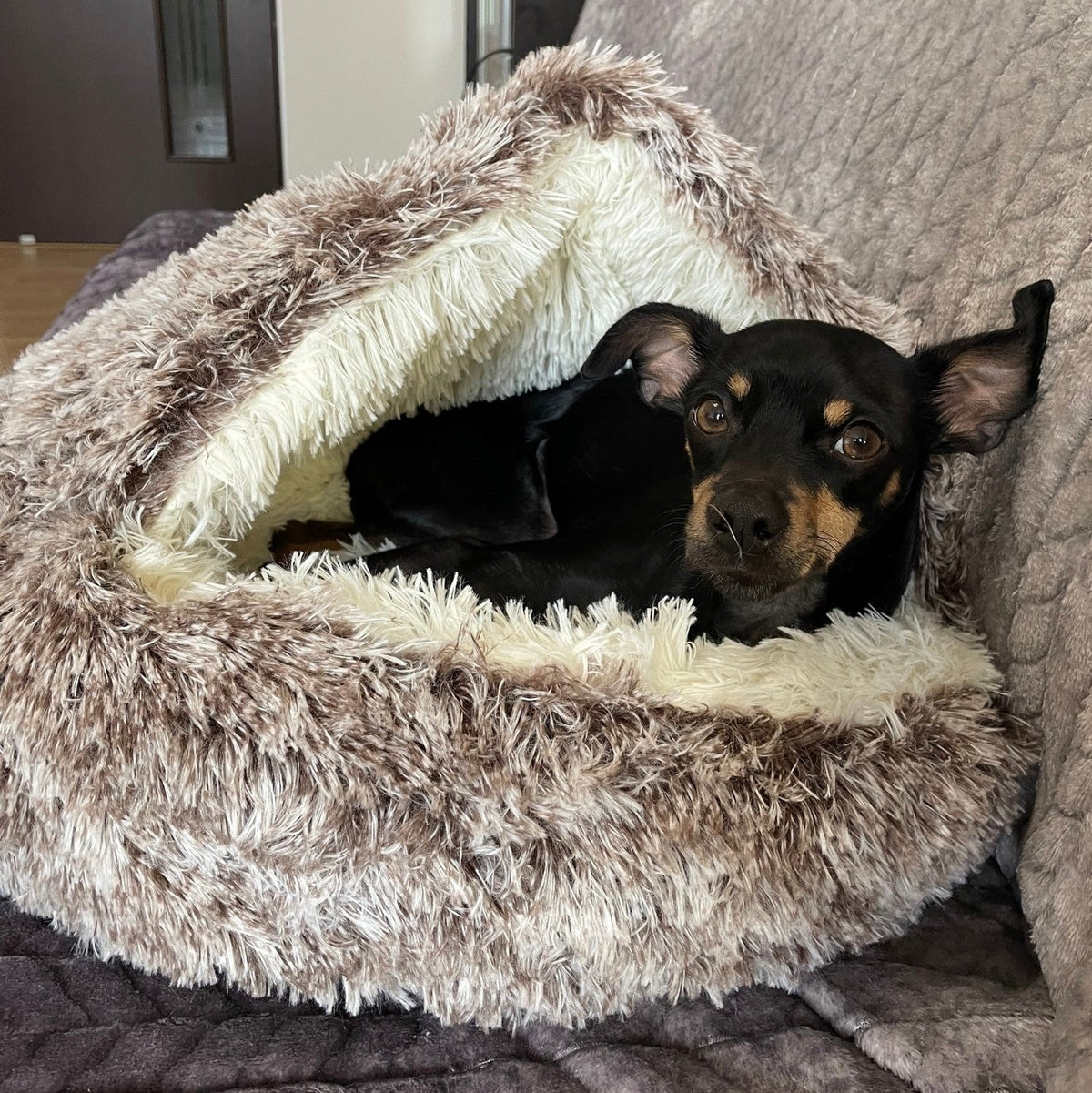 Dog Bed Convertible Bed & Blanket Anti-Slip