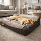 Dog Bed Orthopedic Foam Raised Edge Velvet Cover