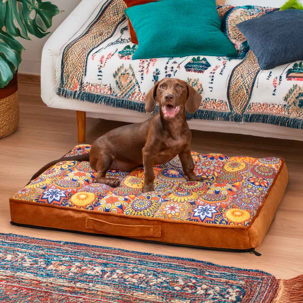 Dog Bed Orthopedic Memory Foam Removable Cover