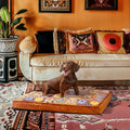 Dog Bed Orthopedic Memory Foam Removable Cover