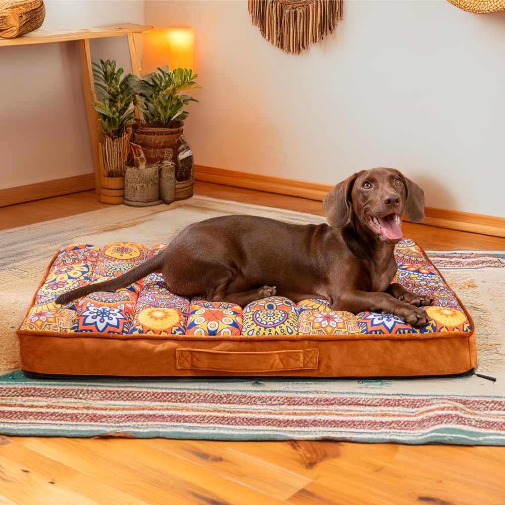 Dog Bed Orthopedic Memory Foam Removable Cover