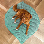 Dog Blanket Cotton-Blend Machine-Washable Furniture Protector
