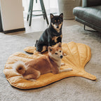Dog Blanket Cotton-Blend Machine-Washable Furniture Protector