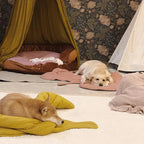 Dog Blanket Cotton-Blend Machine-Washable Furniture Protector