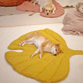 Dog Blanket Cotton-Blend Machine-Washable Furniture Protector