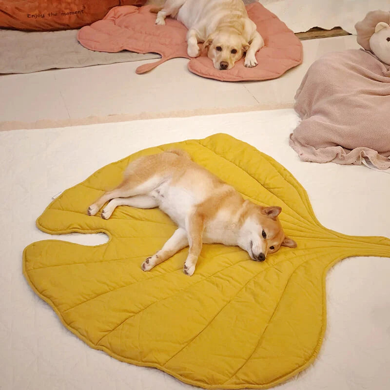Dog Blanket Cotton-Blend Machine-Washable Furniture Protector