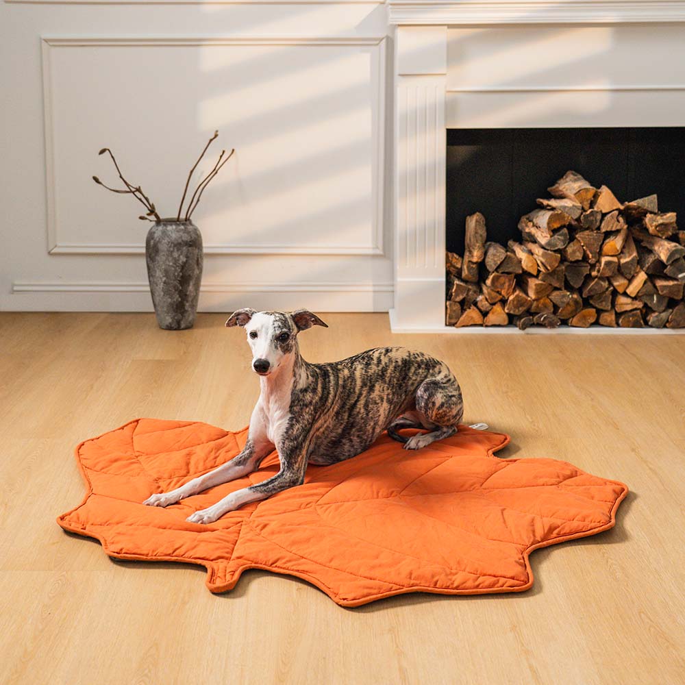 Dog Blanket Cotton-Blend Machine-Washable Furniture Protector