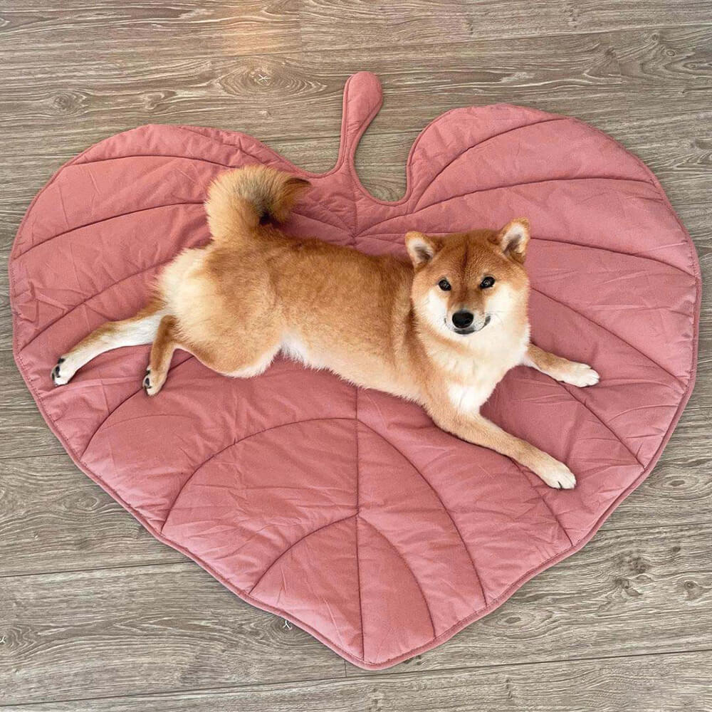 Dog Blanket Cotton-Blend Machine-Washable Furniture Protector