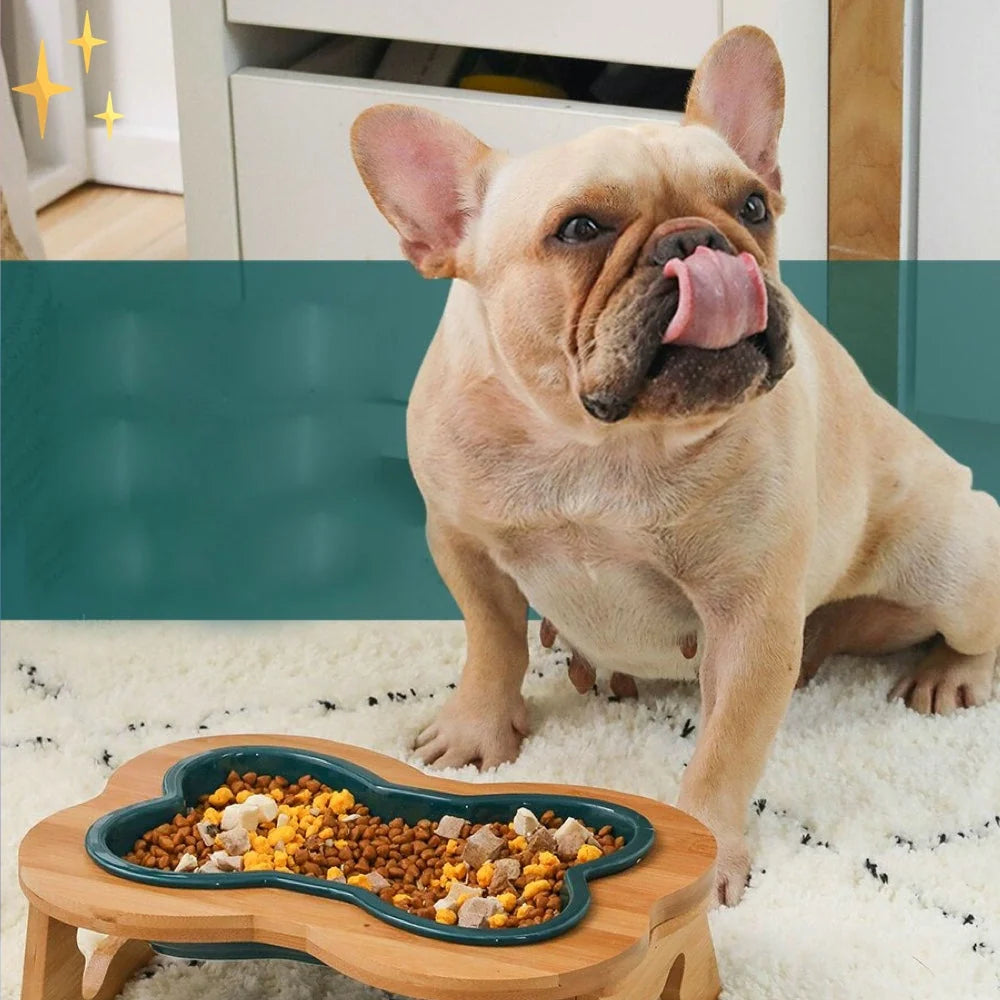 Dog Bowl Bone-Shaped Ceramic Elevated Wooden Stand
