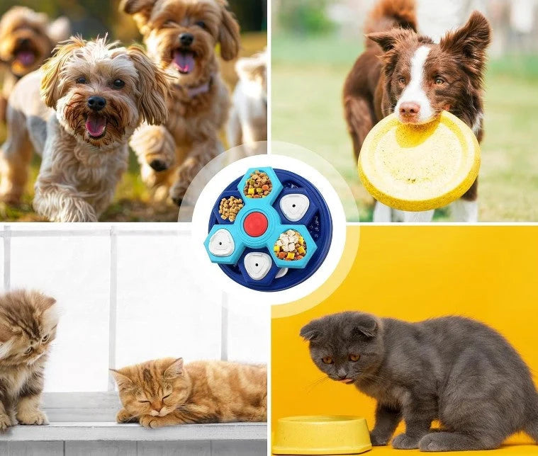 Dog Bowl Slow Feeder 4-Layer Puzzle Non-Slip Base