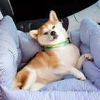 Dog Car Seat Bolster Support Non-Slip Base & Removable Cover